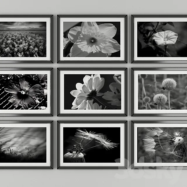 Black and white pictures of flowers 3ds Max