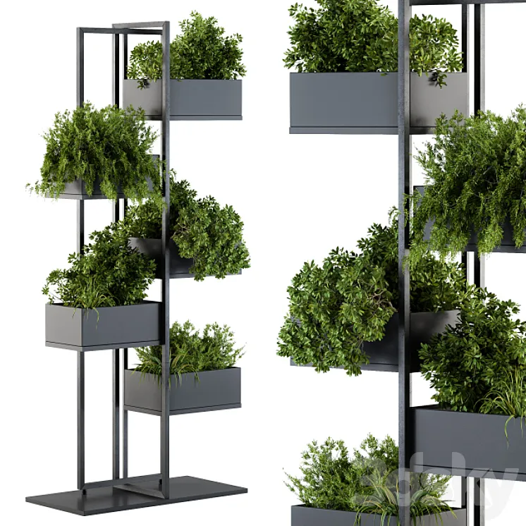 Black Box Plants on stand 03 3DS Max