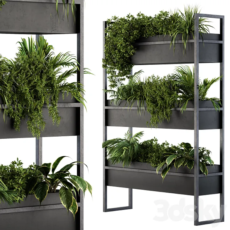 Black Box Plants on stand 05 3DS Max