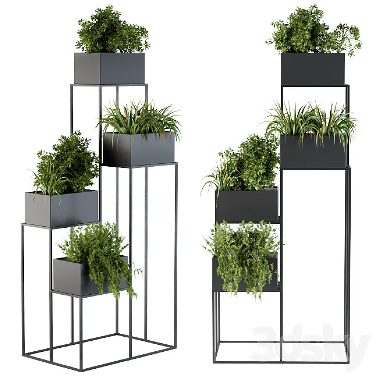 Black Box Plants on stand 3DS Max
