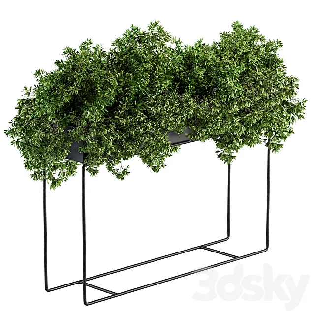 Black Box Plants on stand – Set 80 3DS Max Model