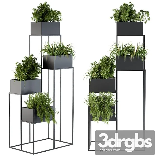 Black box plants on stand