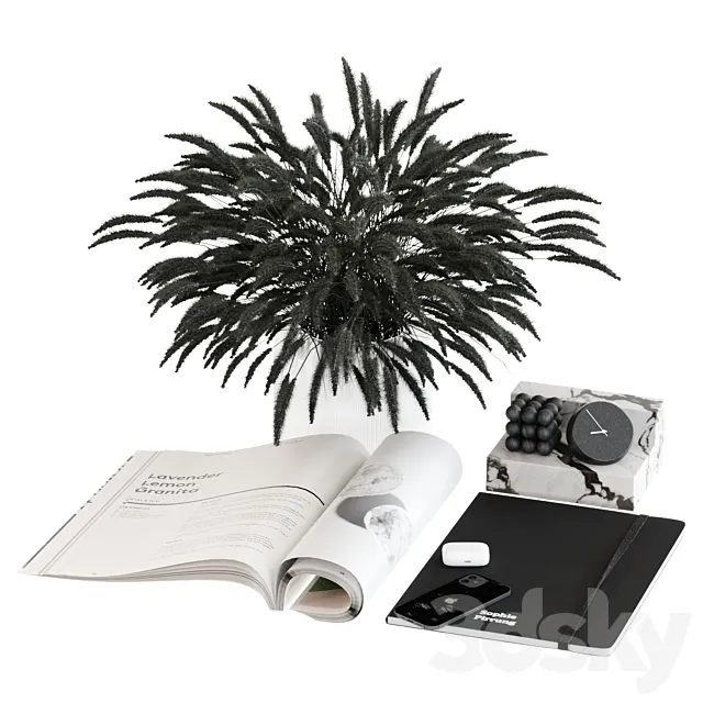Black & white decorative set 3DSMax File