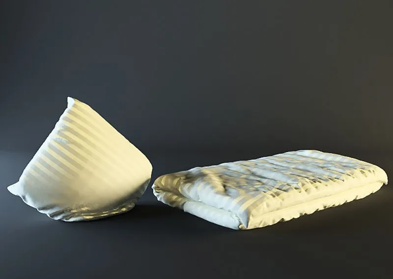 Blanket + pillow 3dsMax Model