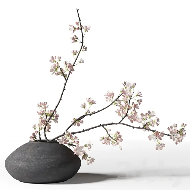 Blooming branch in a black vase 3dsMax Model