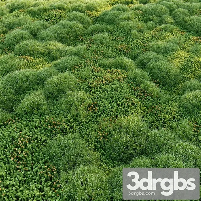 Blooming Moss 2 3dsmax Download