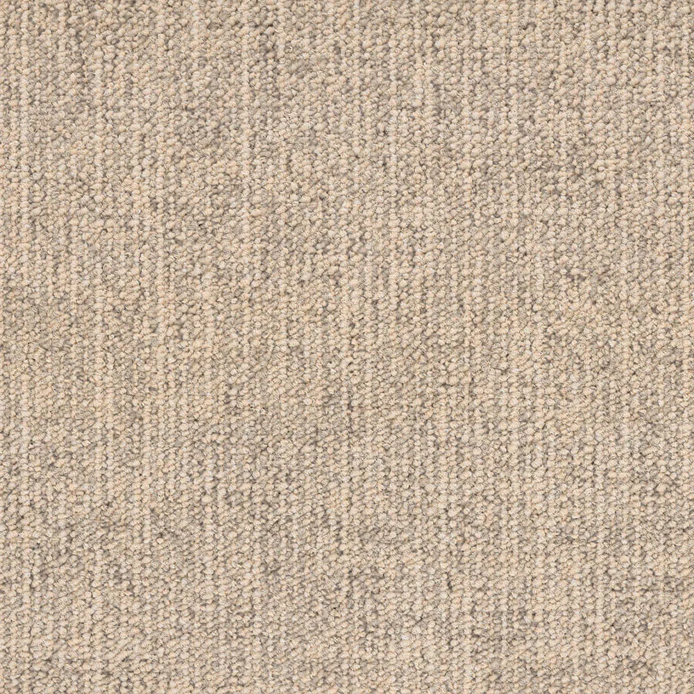 BLOQ – Carpeting Canvas_145 3ds Max