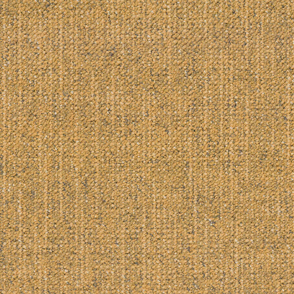 BLOQ – Carpeting Canvas_225 3ds Max