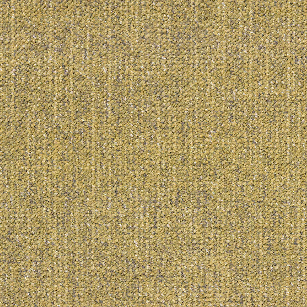 BLOQ – Carpeting Canvas_230 3ds Max