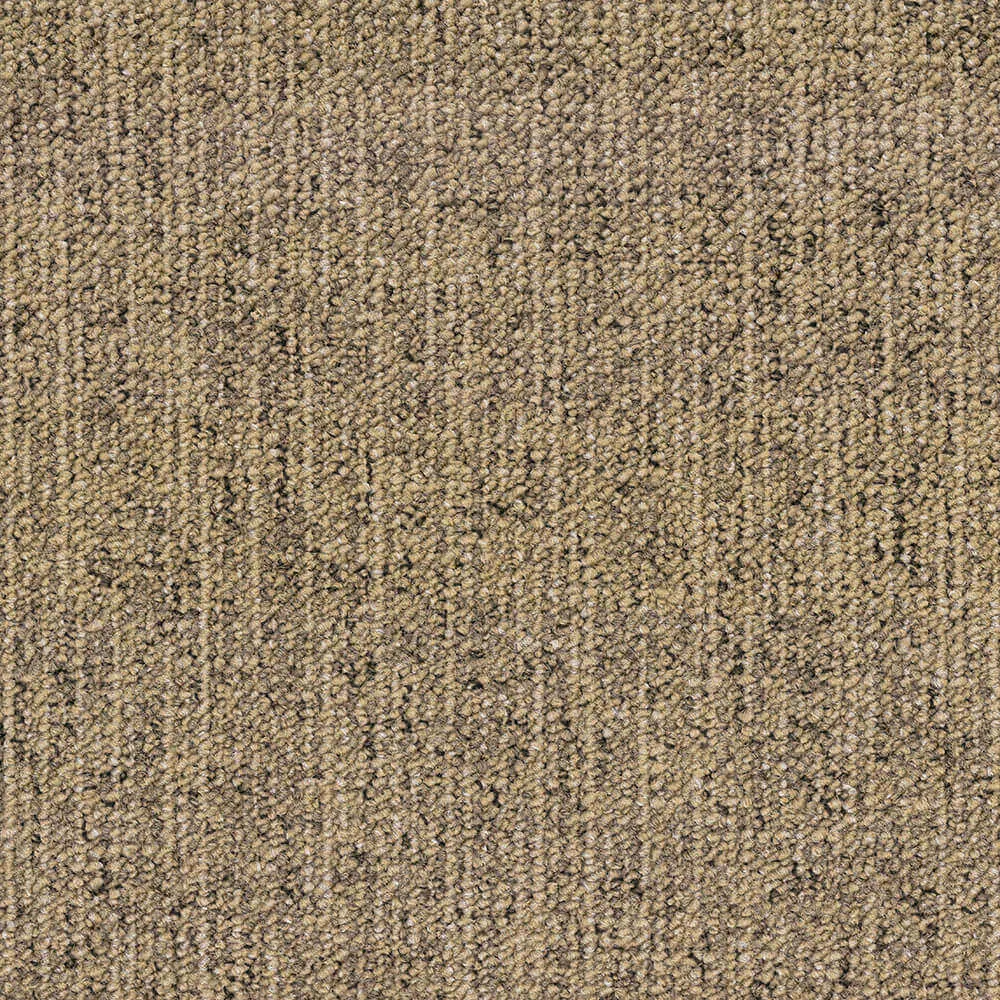 BLOQ – Carpeting Canvas_815 3ds Max