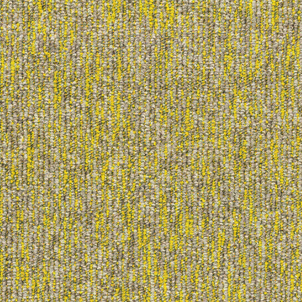 BLOQ – Carpeting Flow_125 3ds Max