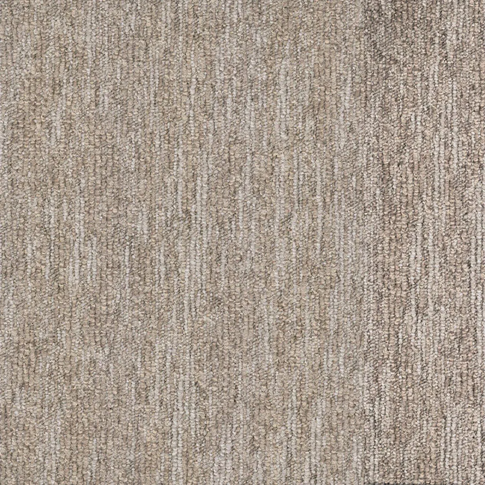 BLOQ – Carpeting Grain_123 3ds Max