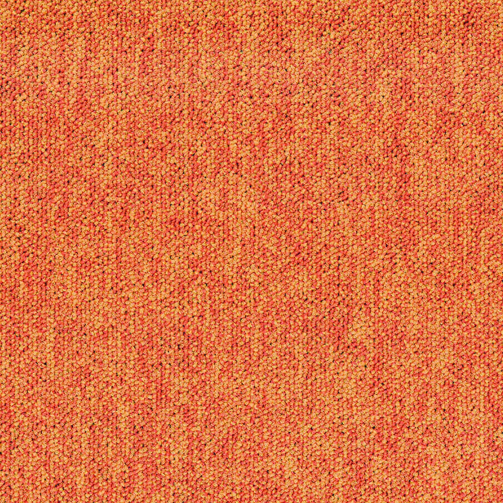 BLOQ – Carpeting Tradition_210 3ds Max