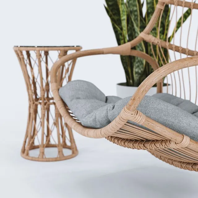Blucher hanging chair plant & table 3dsMax Model