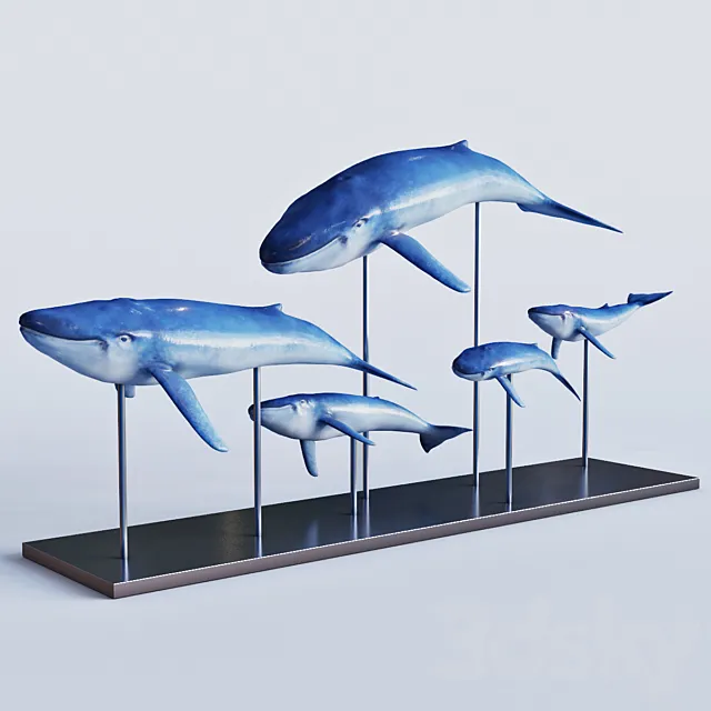 Blue whales 3DS Max Model