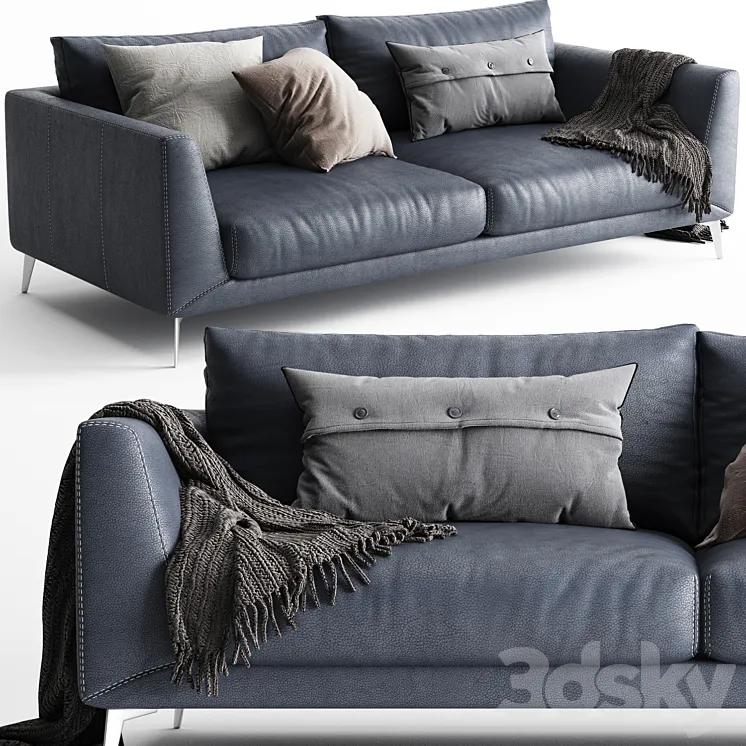 BoConcept Fargo Sofa 2 Seats 3DS Max