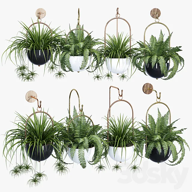 Boho hanging planter 3ds Max