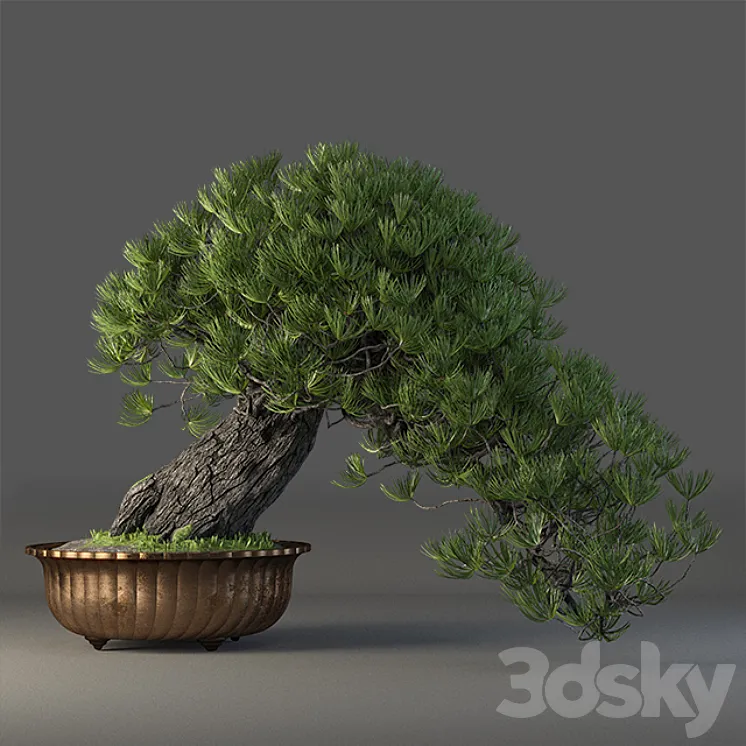 Bonsai 3DS Max