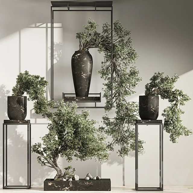 Bonsai And Indoor Plant Set 43 3ds Max