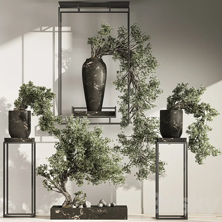 Bonsai And Indoor Plant Set 43 3DS Max