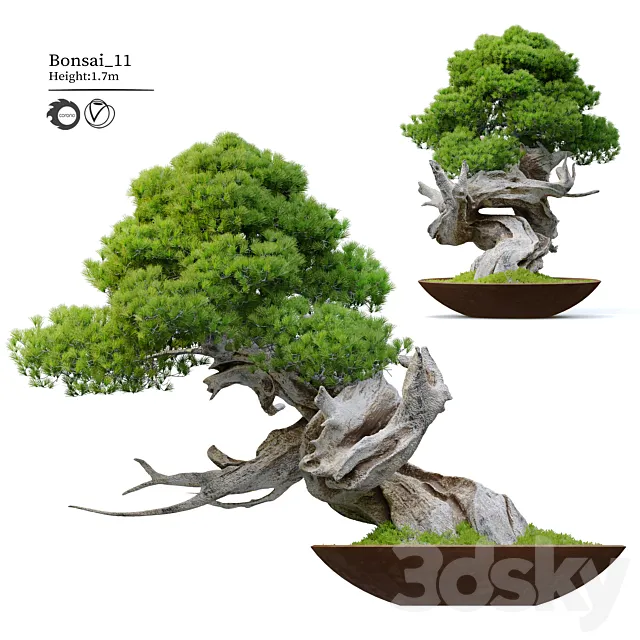 Bonsai plant 11 3ds Max