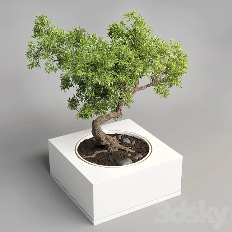 bonsai pot concrete vase 3DS Max Model