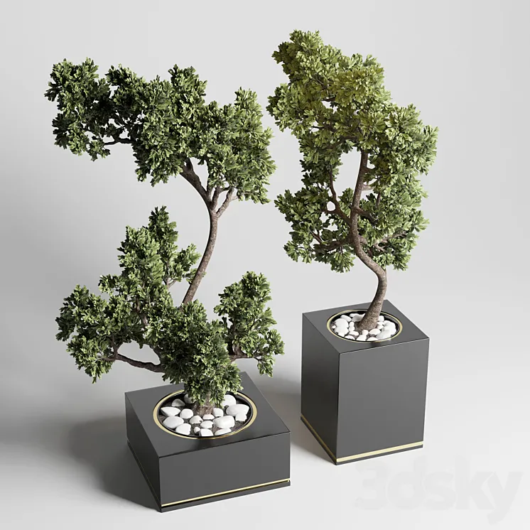 bonsai pot concrete vase pot tree 3DS Max Model