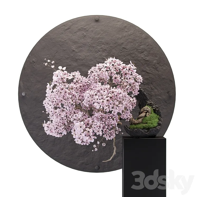 Bonsai sakura 3DS Max