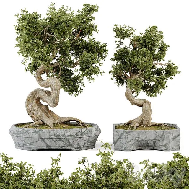 Bonsai Set Vol 01 3dsMax Model