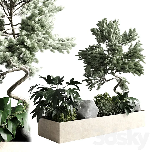 bonsai tree with plants set in the garden 290 corona 3DSMax File