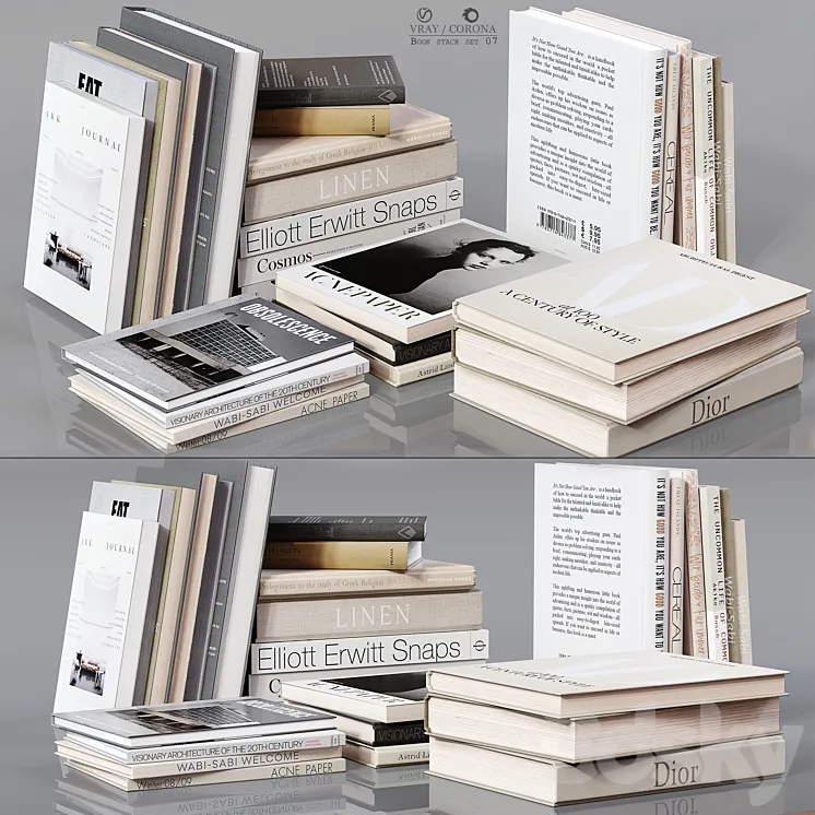 Book stack set 08 3DS Max Model