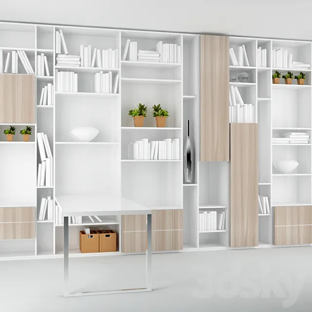 bookcase 3DS Max Model