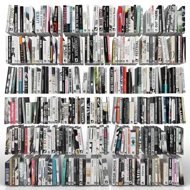 Books (150 items) Part 1 3dsMax Model