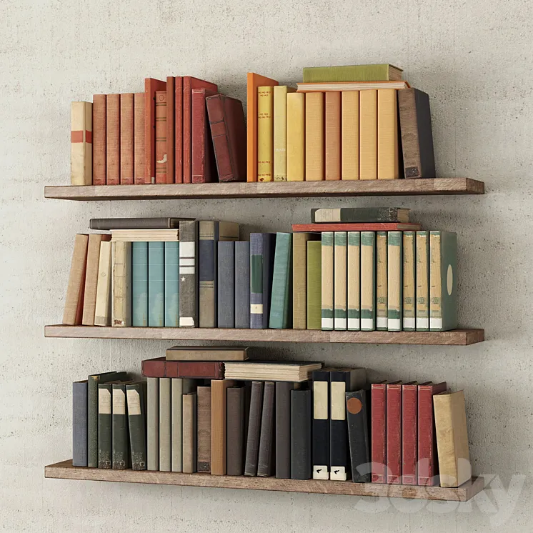 Books on the shelf 3DS Max