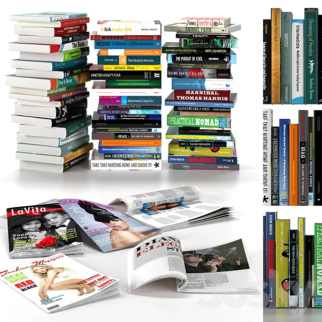 BOOKS VOL 3 3DS Max Model