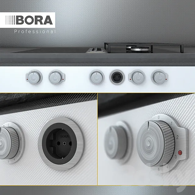 Bora professional 3DS Max Model