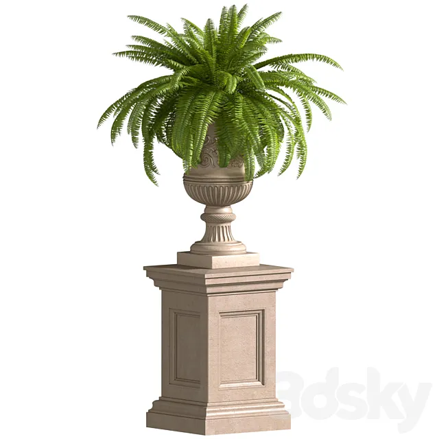 Boston Fern in a classic flowerpot.Flowers Garden Plant Palm Entrance Doors Flowerpot Patio Balcony 3DS Max Model