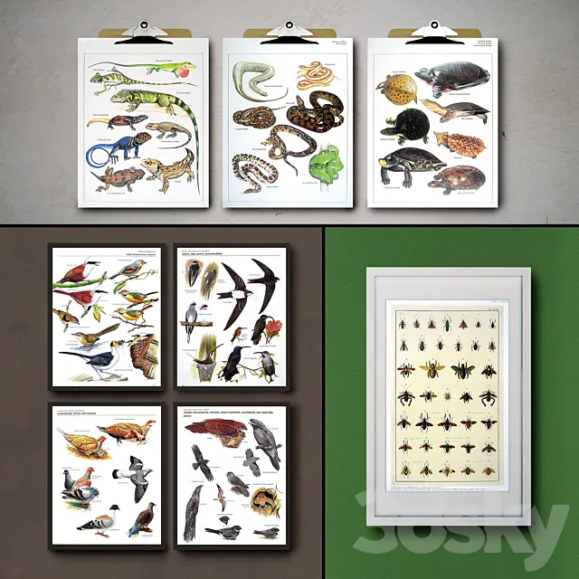 Botanical Vintage Book Pages. 24 Prints (set 3) 3DS Max Model