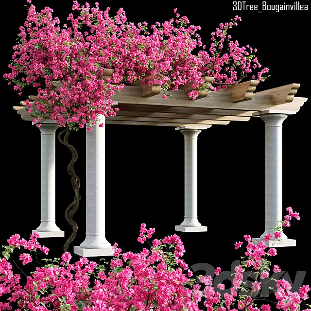 Bougainvillea 08 3ds Max