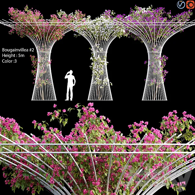 Bougainvillea _ vines # 1 3DSMax File