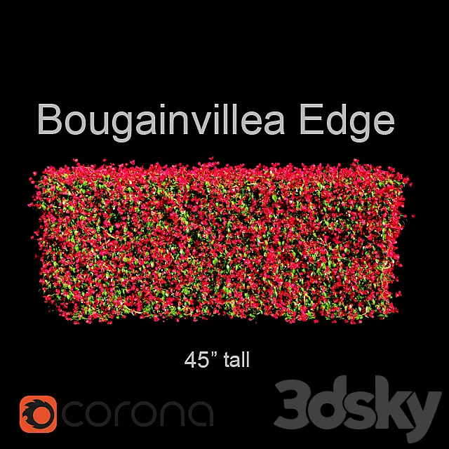 Bougainvillea Edge Bush 3ds Max