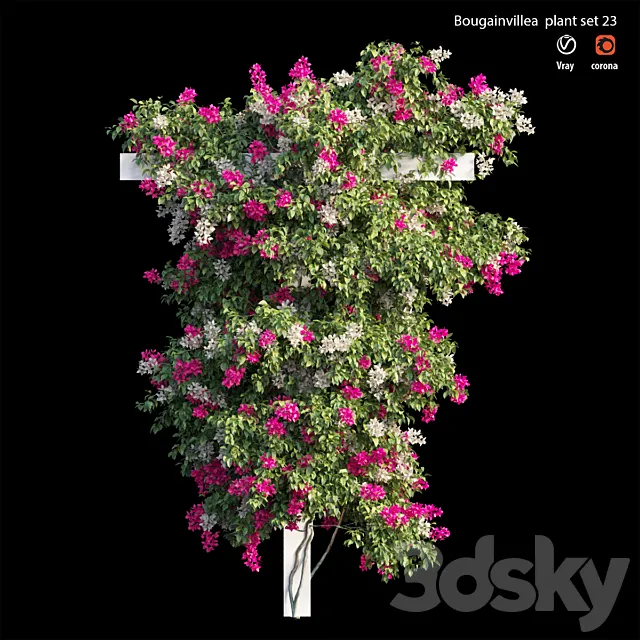 Bougainvillea plant set 23 3ds Max