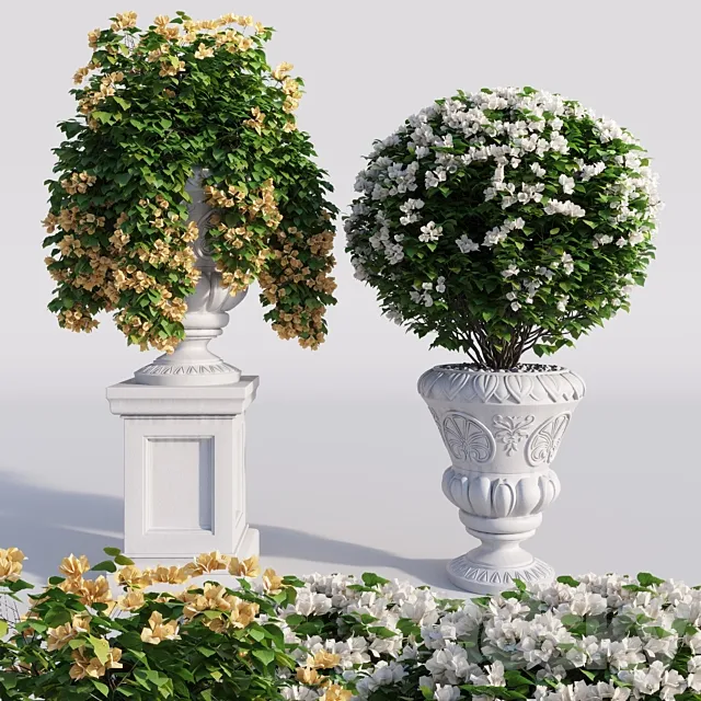 Bougainvillea planter set. 3DSMax File