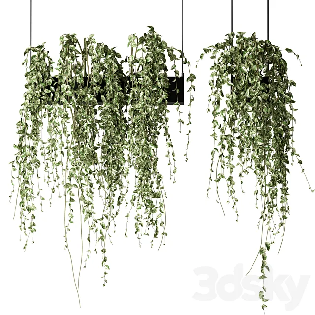 Bouquet Collection 08 – Decorative Hanging Plants 3ds Max