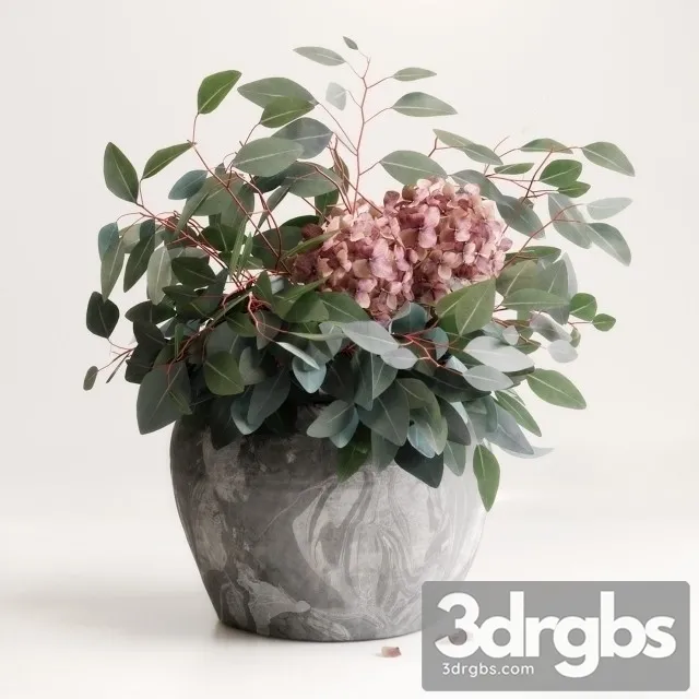 Bouquet Eucalyptus Hydrangea 3dsmax Download