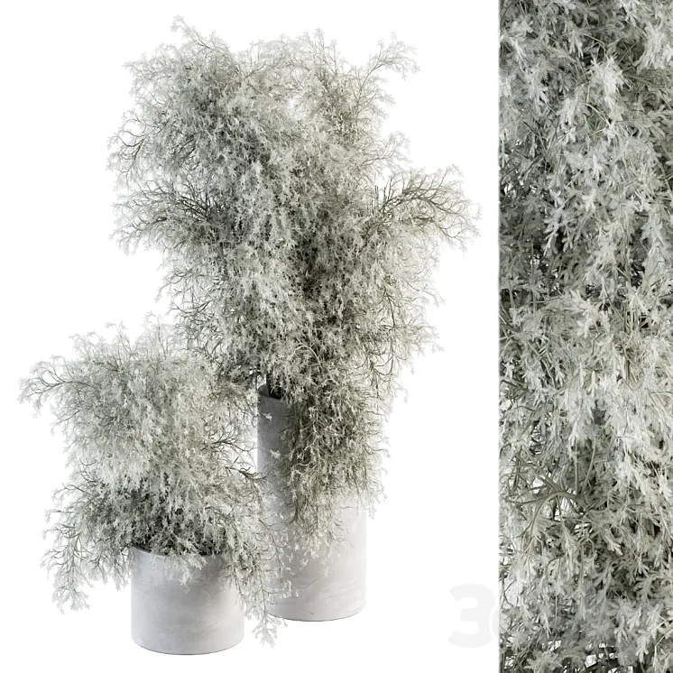 Bouquet – Green Branch in Concrete vase 79 3DS Max Model