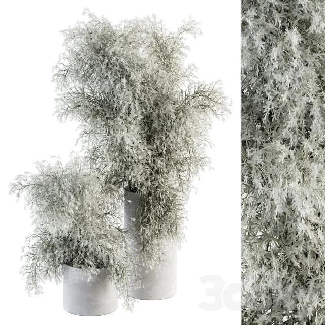 Bouquet – Green Branch in Concrete vase 79 3DSMax File