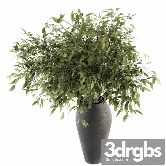 Bouquet Green Branch In Vase 45 3dsmax Download