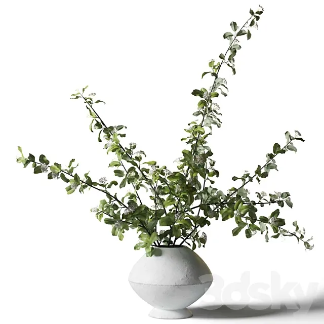 Bouquet – green branches in a white vase 3dsMax Model