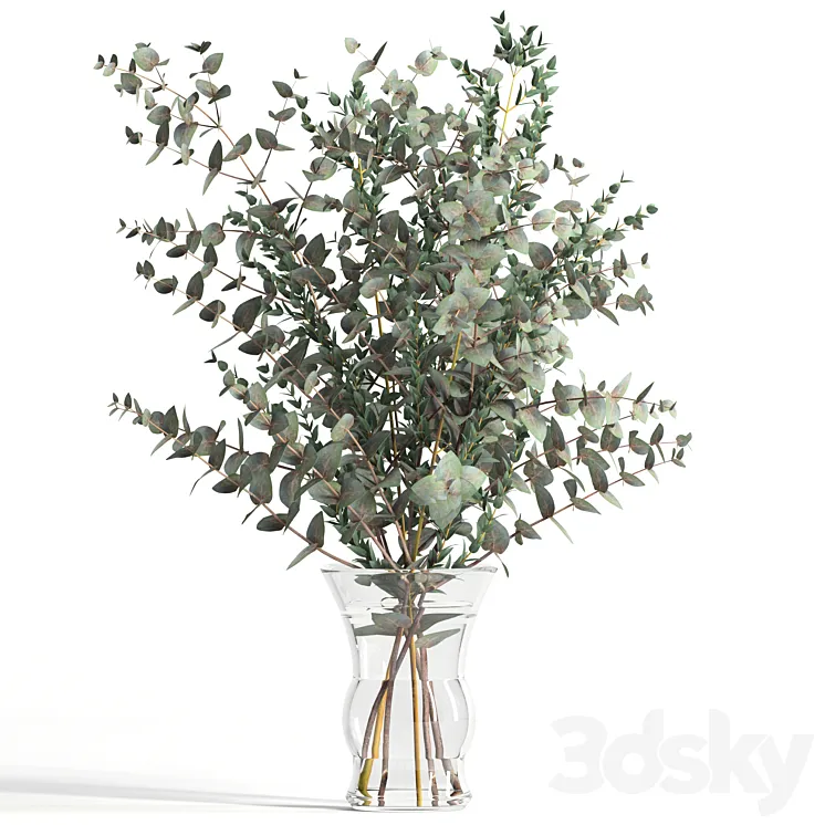Bouquet of 2 types of eucalyptus 3DS Max